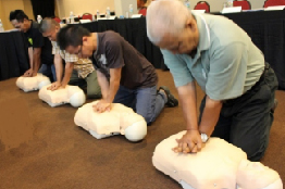 First Aid Division